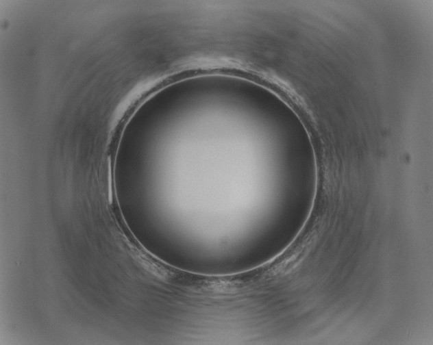 X0000074321175200609011530