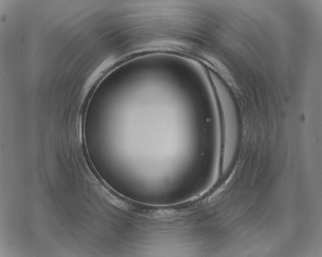 X0000074321180200609011530