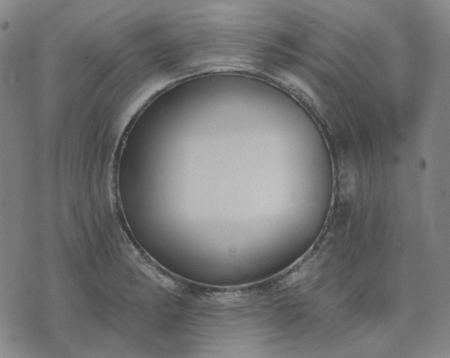 X0000074321182200609011530