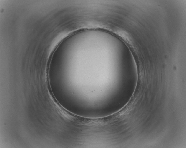 X0000074321183200609011530