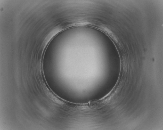X0000074321186200609011530