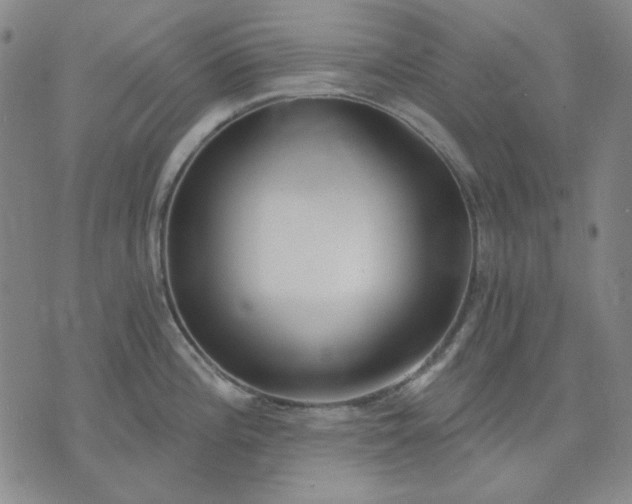 X0000074321196200609011529
