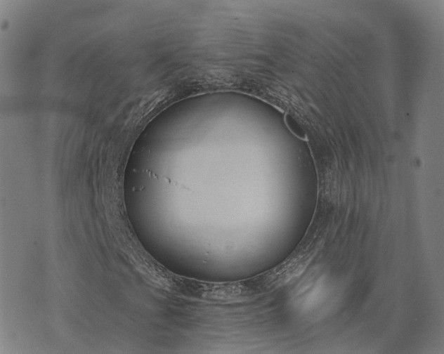 X0000074321201200609011529
