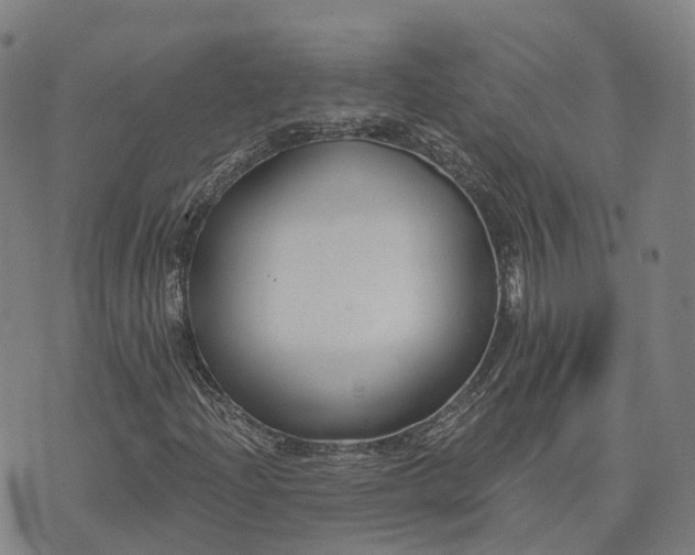 X0000074321204200609011529