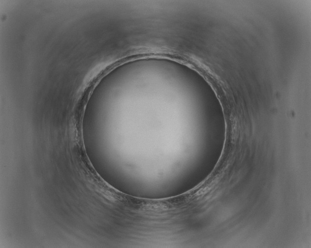 X0000074321215200609011529