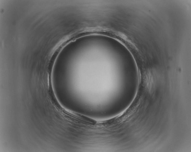 X0000074321221200609011529