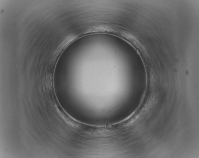 X0000074321233200609011529