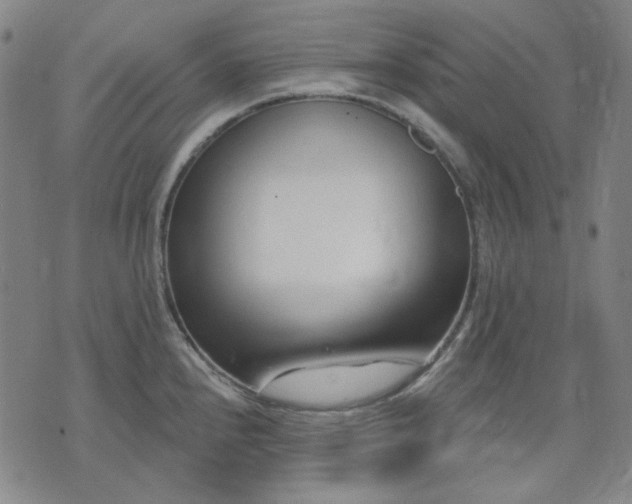 X0000074321240200609011529