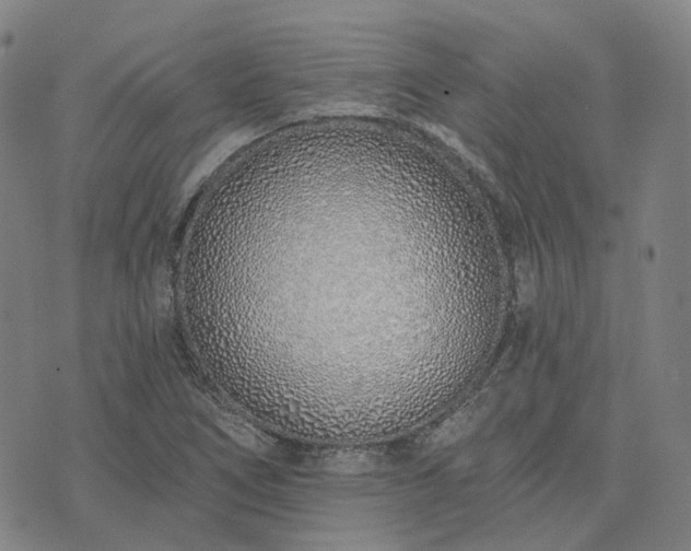 X0000074321266200609011528