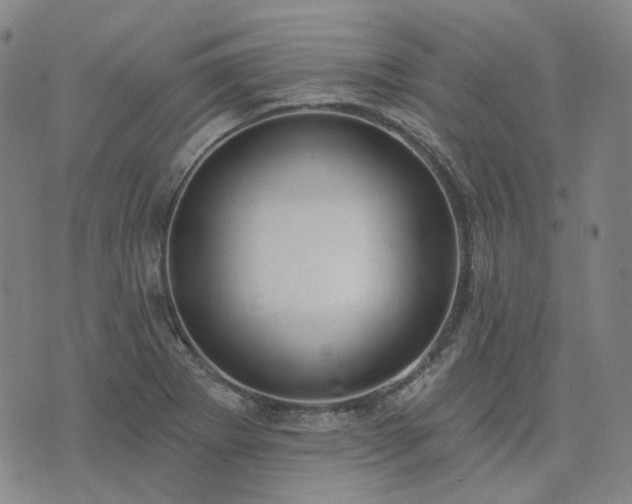 X0000074321273200609011528