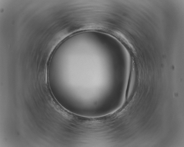 X0000074321276200609011528