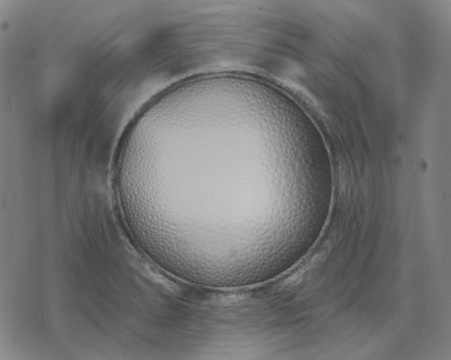 X0000074321278200609011528