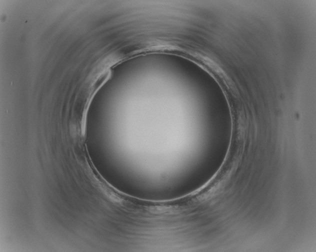 X0000074321281200609011528