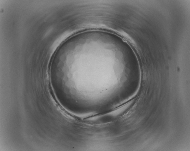 X0000074321287200609011528