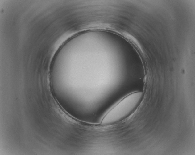 X0000074321288200609011528