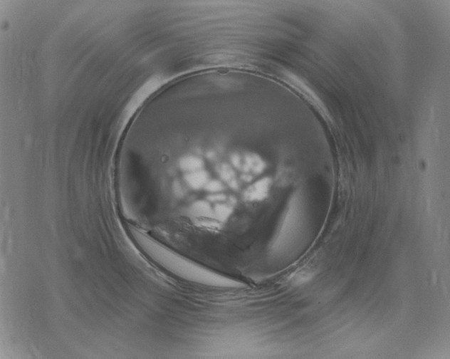 X0000074321291200609011528