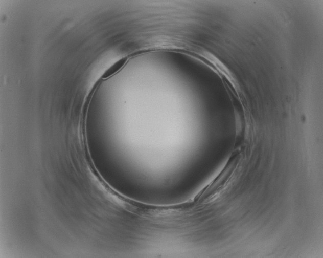 X0000074321293200609011528