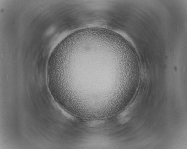 X0000074321294200609011528