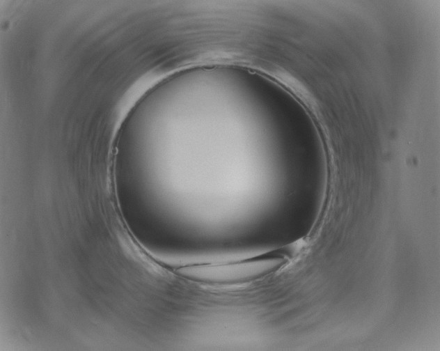 X0000074321296200609011528