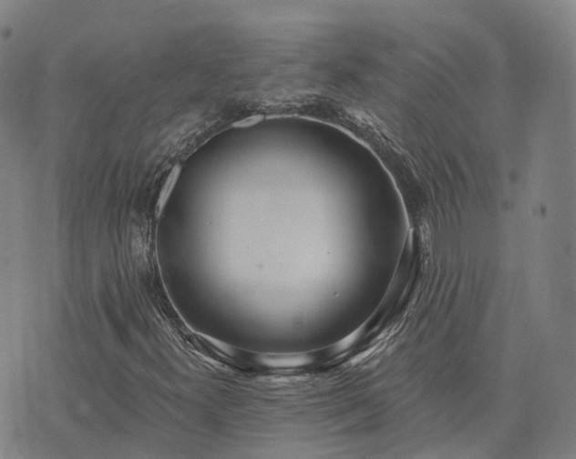 X0000074321300200609011527