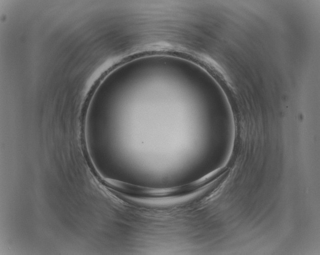X0000074321326200609011527