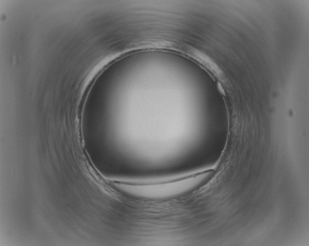 X0000074321332200609011528