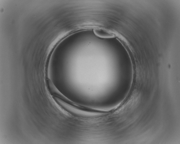 X0000074321333200609011528