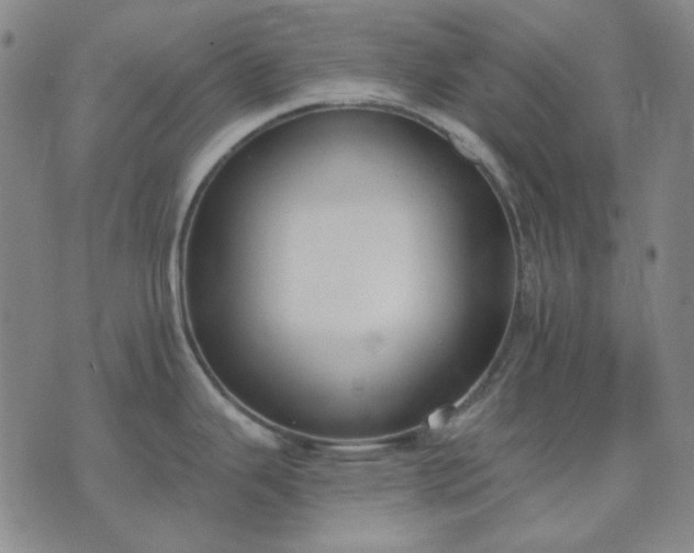 X0000074321343200609011528