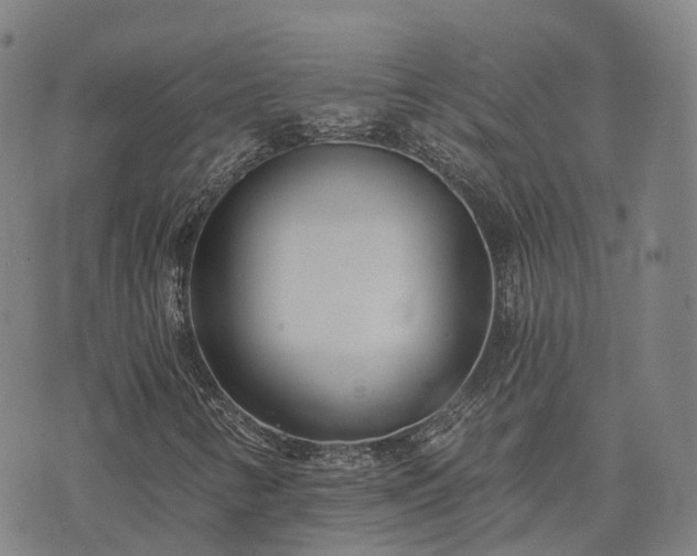 X0000074321346200609011527