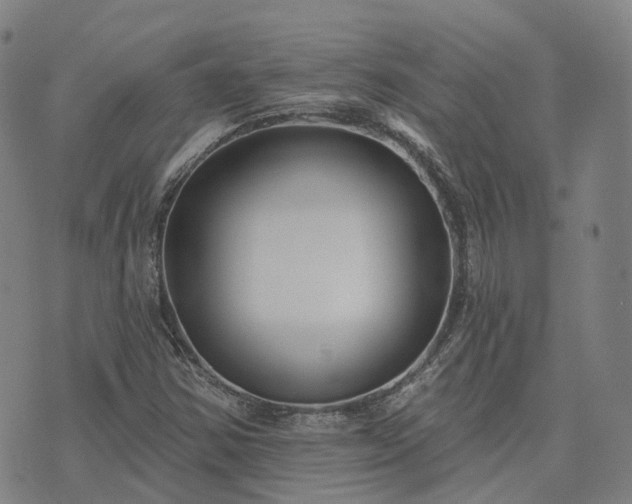 X0000074321354200609011527