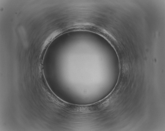 X0000074321362200609011527