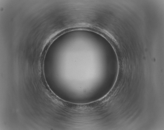 X0000074321364200609011527