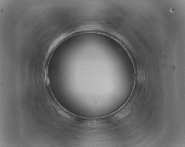 X0000074321366200609011527