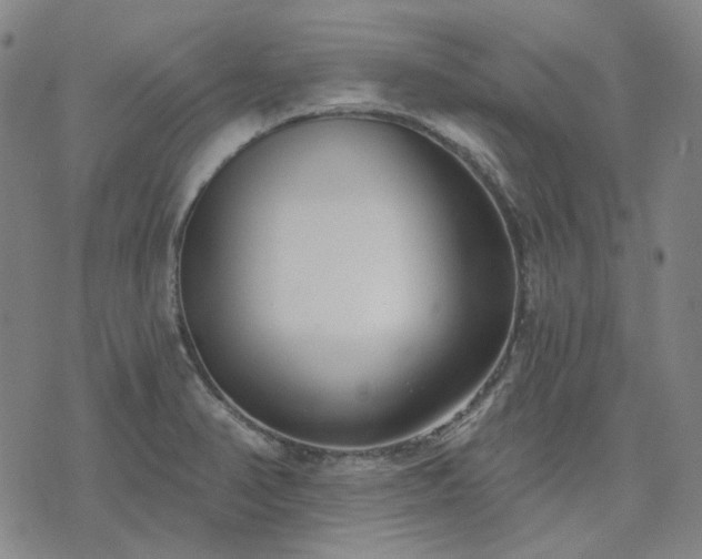 X0000074321374200609011527