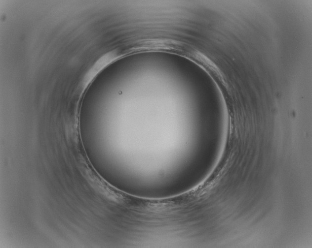 X0000074321378200609011526