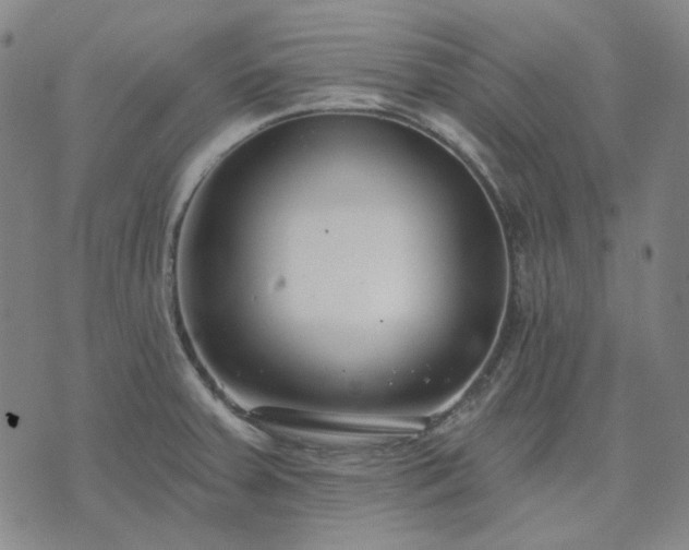 X0000074321379200609011526