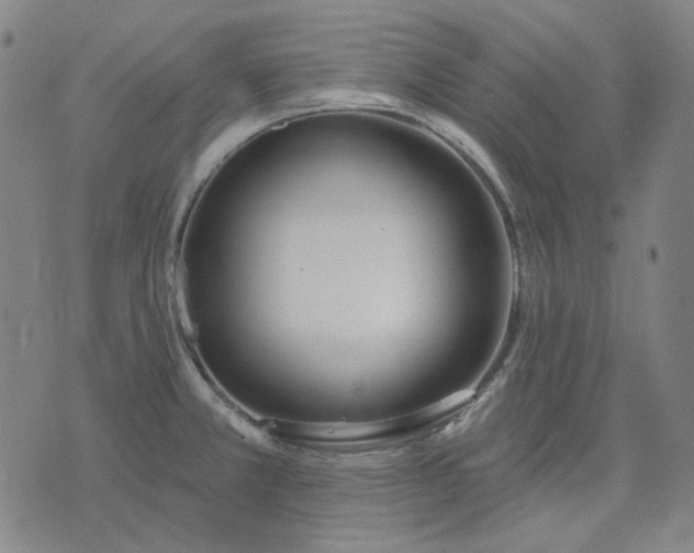 X0000074321381200609011526