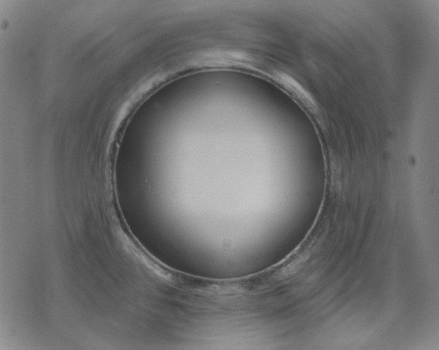 X0000074321384200609011526