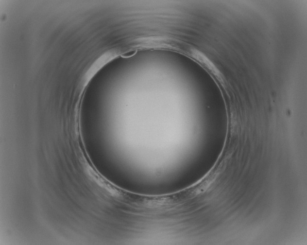 X0000074321386200609011526