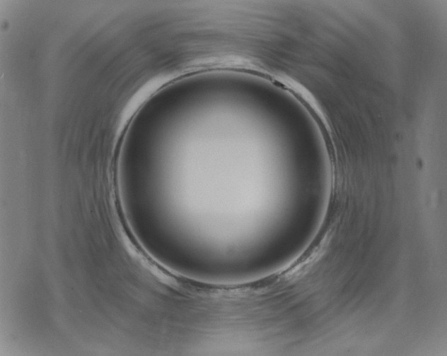 X0000074321389200609011526