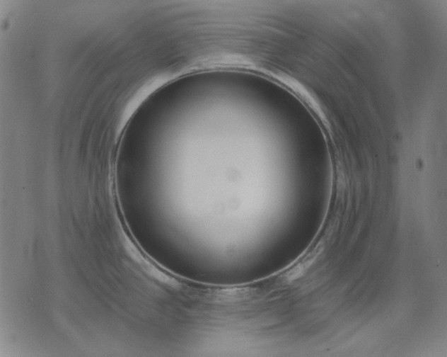 X0000074321390200609011526