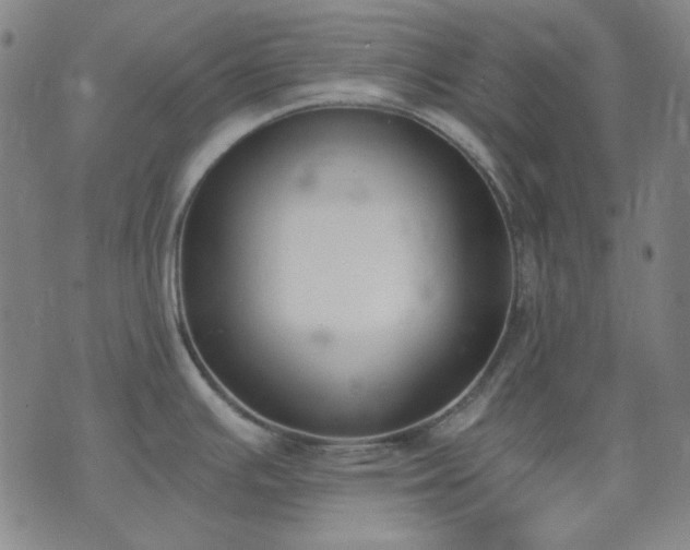 X0000074321391200609011526