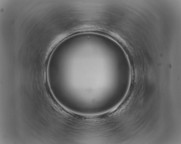 X0000074321413200609011526