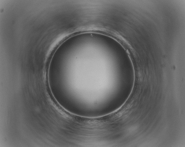 X0000074321416200609011526