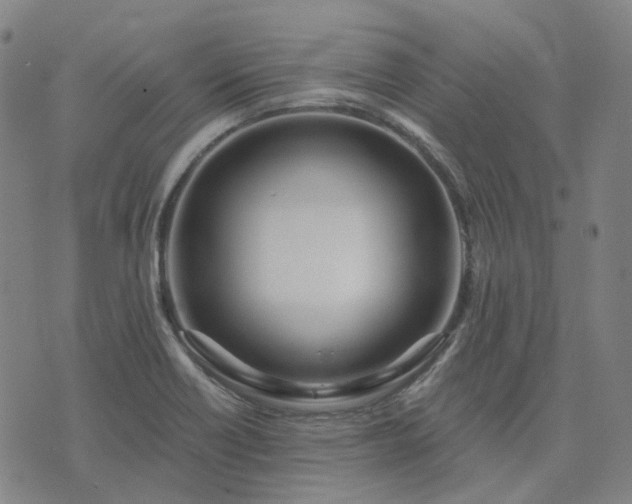 X0000074321418200609011526