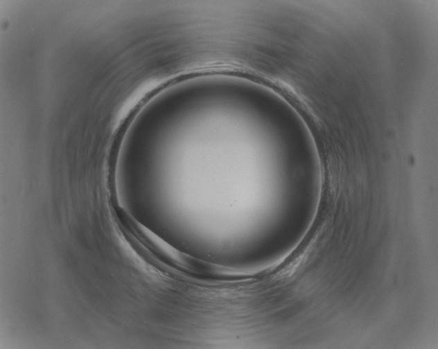 X0000074321422200609011526