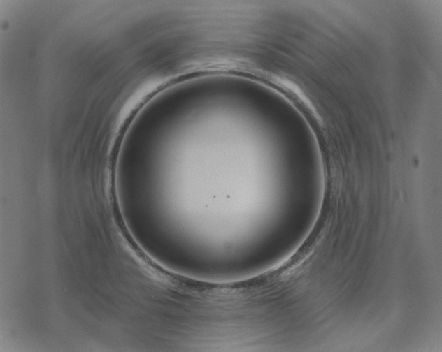 X0000074321424200609011526