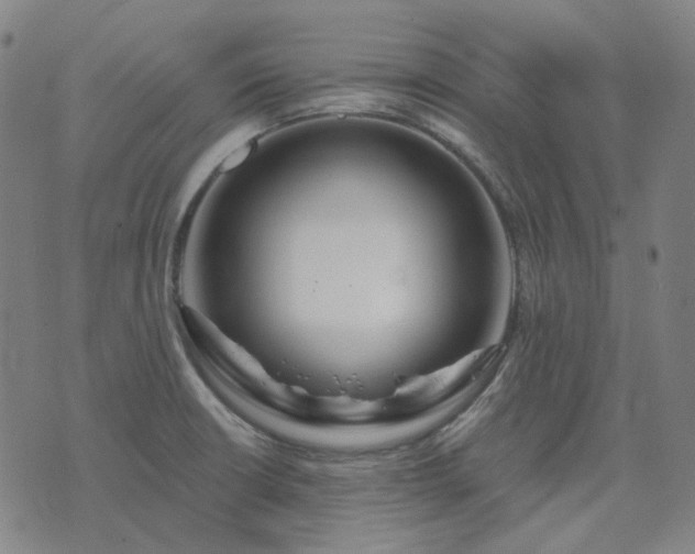 X0000074321426200609011526
