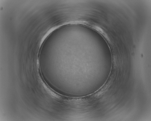 X0000074321428200609011526