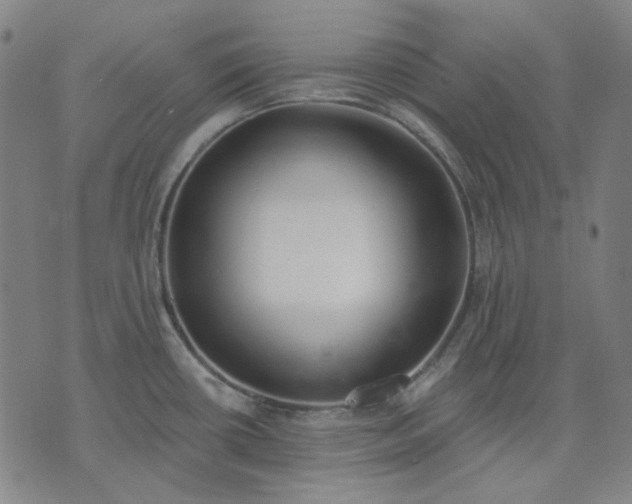 X0000074321434200609011526